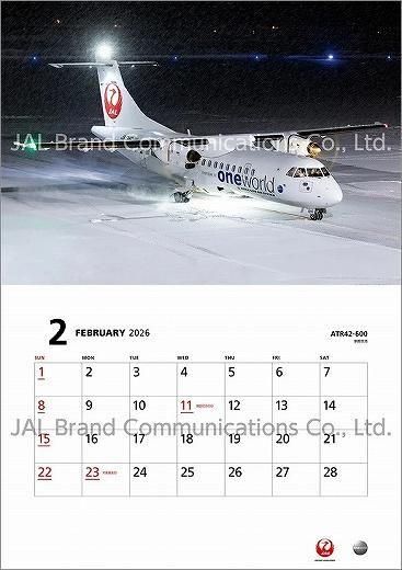 JAL FLEET 2025ǯ 