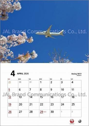 JAL FLEET 2025ǯ 