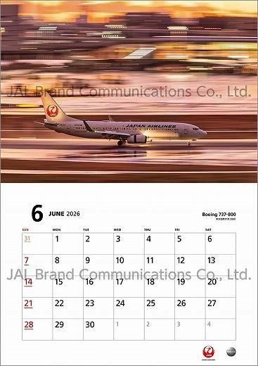 JAL FLEET 2025ǯ 