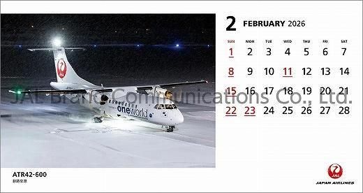  JAL FLEET 2025ǯ 