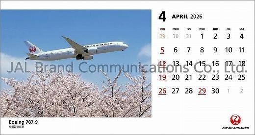 JAL FLEET 2025ǯ 