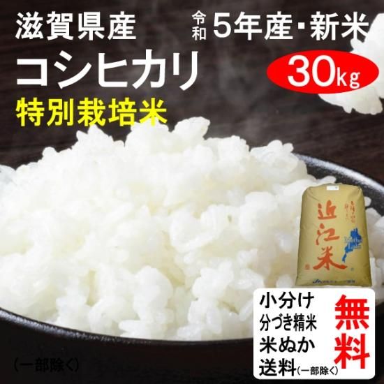 (会員様は500円引き！)令和5年産　滋賀県東近江市山上町産　特別栽培米コシヒカリ（1等玄米）　30kg　送料無料 - (株)ともだ　 インターネットショップ