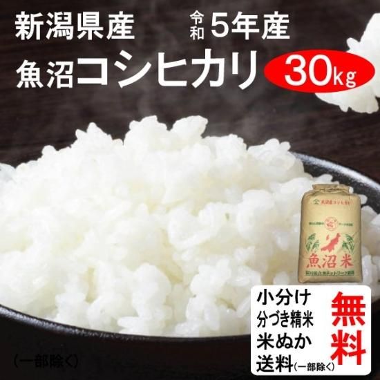 送料無料 一等検査 白米 令和5年産 京都 丹後 コシヒカリ 約27kg京都