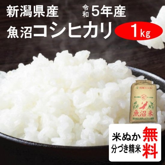 令和4年産 新潟県魚沼産 特別栽培米コシヒカリ（1等玄米） 1kg - (株