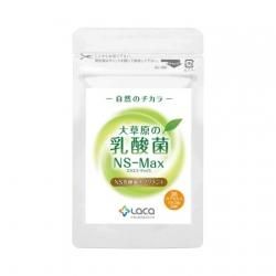 NS乳酸菌　３袋セット アルタイのNS乳酸菌「新NS-Dx」 : SandS-market - 通販