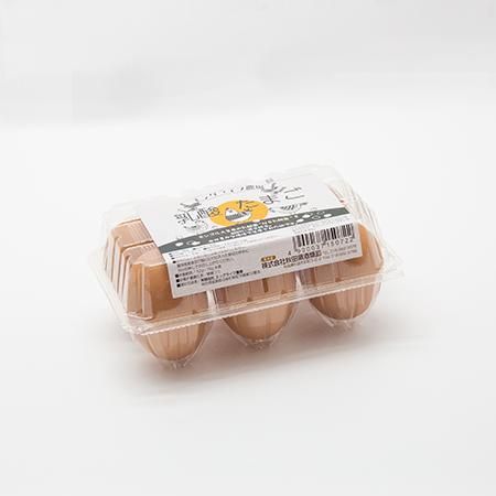乳酸たまご【6個入×12パック】箱販売(72個) - NSバイオ 乳酸たまご【6個入×12パック】箱販売(72個) - NSバイオ