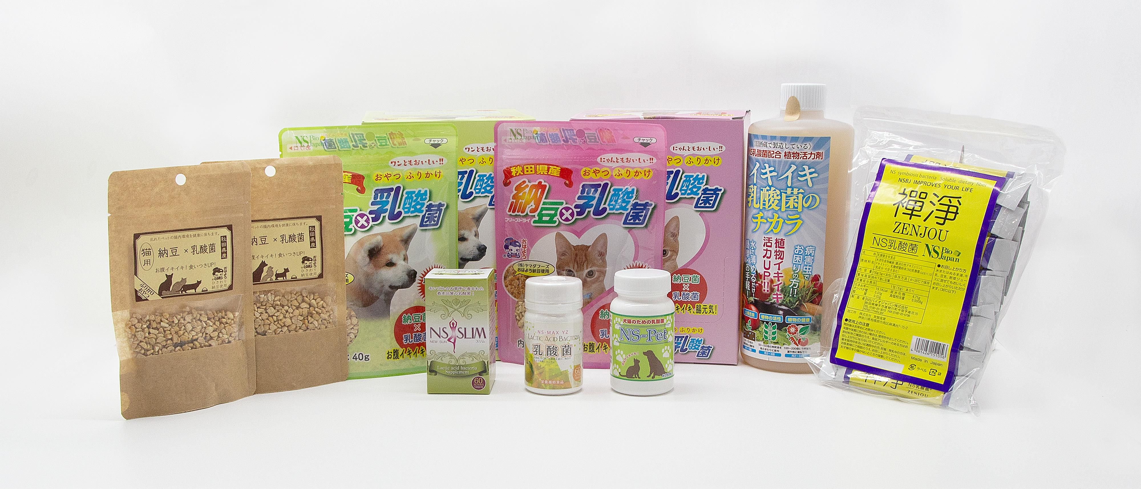 NS乳酸菌　4袋セット 乳酸菌B240タブレット 4袋 【定期お届け便】※メール便 | 【大塚