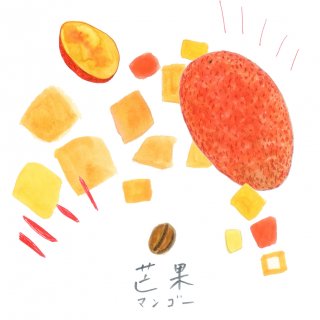 自家焙煎キリンフルーツ珈琲〈マンゴー〉（豆100g） 