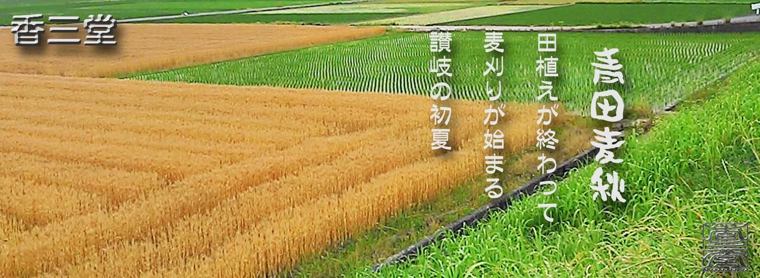 Ӥ˺ä饤ˤᡢХ֤ŹùỰƲ