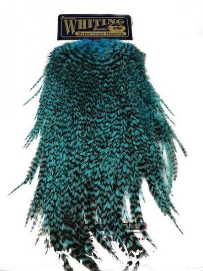 Whiting ホワイティングamericanサドル Gz Dシルバーdrブルー 釣道楽屋sabalo Whiting ホワイティングamericanサドル Gz Dシルバーdrブルー 釣道楽屋sabalo