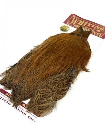 Whiting Gold Saddle ホワイティング　フライフィッシング Whiting Gold Saddle ホワイティングフライフィッシング
