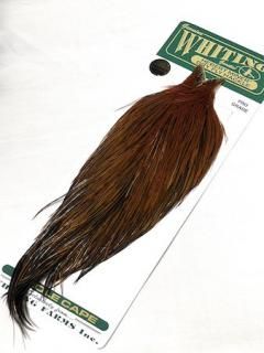 WHITING ۥ磻ƥ<br>Hebertեʥ