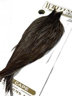 Whiting Hackle