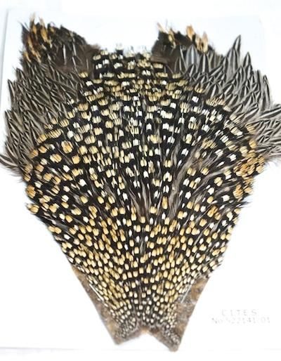 ジャングルコック　フライマテリアル キャナル｜フライマテリアル｜ジャングルコック｜Jungle Cock