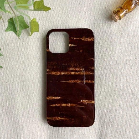 iPhone ̵ϡǽʼ2١