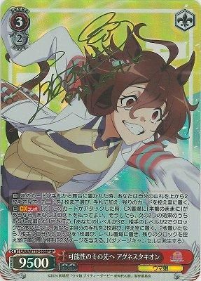 ヴァイス/ウマ娘/新時代の扉/SP/サイン/可能性のその先へ