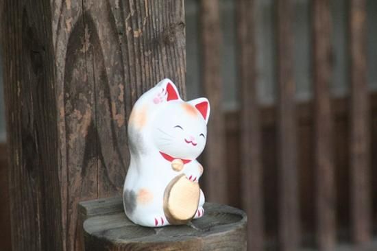 小判を持つ金運アップの招き猫 島根の招き猫工房 小判を持つ金運アップの招き猫 島根の招き猫工房