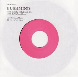 Shoko&The Akilla レコード LP BUSHMIND Remix Shoko&The Akilla レコード LP BUSHMIND Remix
