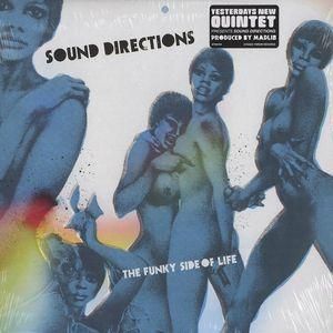 (USED)SOUND DIRECTIONS MADLIB アナログレコード Yahoo!オークション - 【LP】Sound Directions - The Funky Side