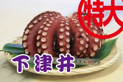 茹で蛸 約1.5kg 下津井（岡山県）産