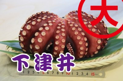 茹で蛸 約1.0kg 下津井（岡山県）産