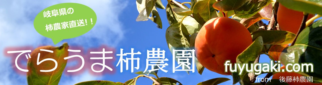 岐阜県の富有柿農家による産直・通販サイト | でらうま柿農園