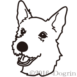 Muttsåǥ