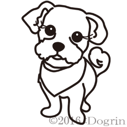 Muttsޤ뤳