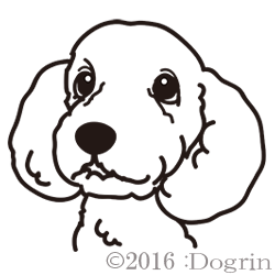 Muttsޤ