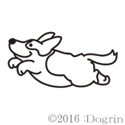 ǥ󡡥