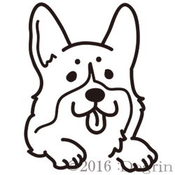 ڥץ塼