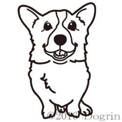 ڥץ