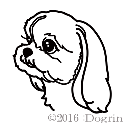シーズー Dogrin Dog Style Shop