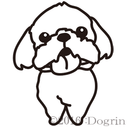 シーズー おかっぱ Dogrin Dog Style Shop