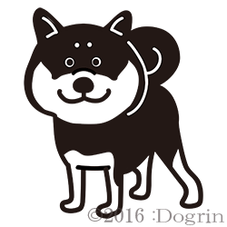 柴犬 くろ Dogrin Dog Style Shop 柴犬 くろ Dogrin Dog Style Shop