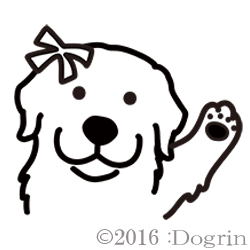 롡塼ȡ٥