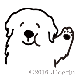 롡塼ȡ