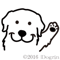 롡塼ȡС