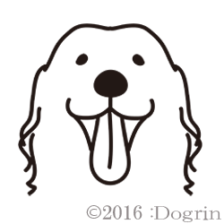 롡ޥ2017