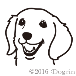 åʥ󥰡ˡĤ