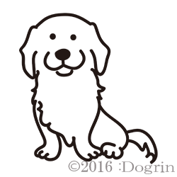 åʥ󥰡ˡ