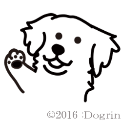 åʥ󥰡ˡϥ