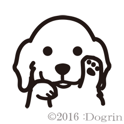 åʥ󥰡ˡѥԥ