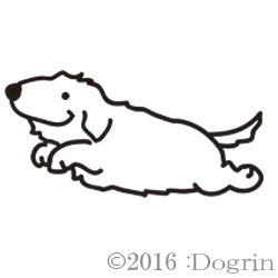 åʥ磻䡼ˡ