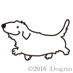 åʥ磻䡼ˡƤäƤ
