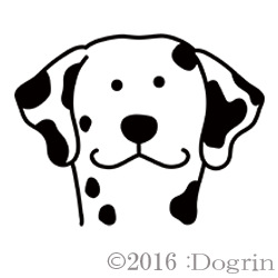 ᥷󡡥ޥ