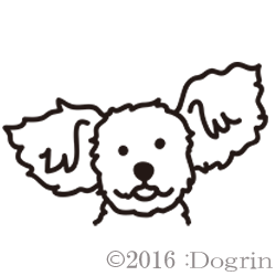 㥤ˡ쥹ƥåɡsora