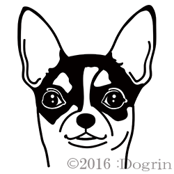 ʥࡼˡB