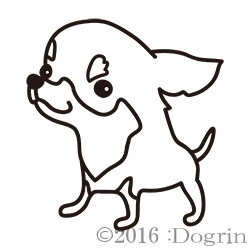 ʥࡼˡƤ
