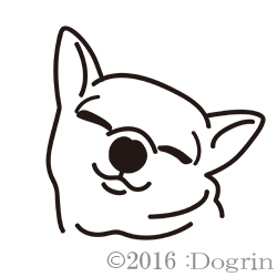 ʥࡼˡ椭